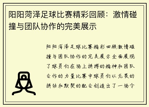 阳阳菏泽足球比赛精彩回顾：激情碰撞与团队协作的完美展示