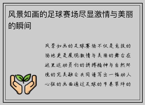 风景如画的足球赛场尽显激情与美丽的瞬间