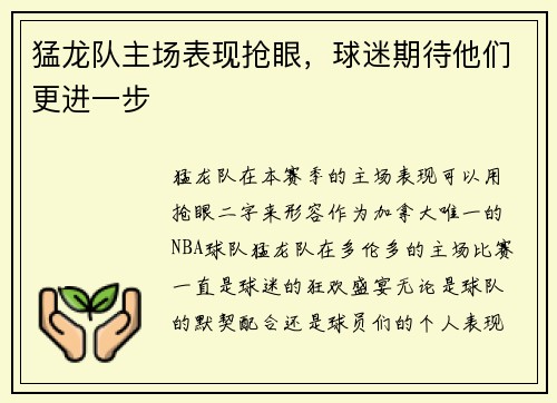 猛龙队主场表现抢眼，球迷期待他们更进一步