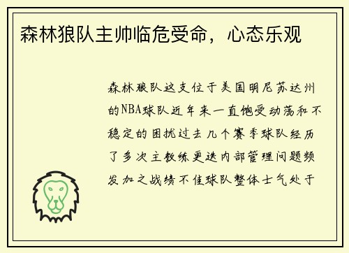 森林狼队主帅临危受命，心态乐观
