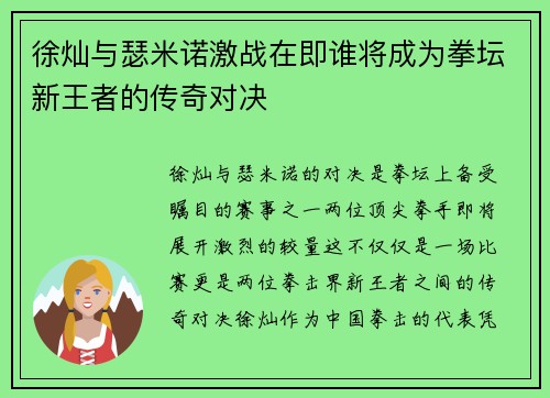 徐灿与瑟米诺激战在即谁将成为拳坛新王者的传奇对决