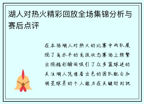 湖人对热火精彩回放全场集锦分析与赛后点评