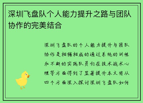 深圳飞盘队个人能力提升之路与团队协作的完美结合