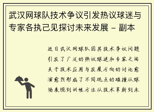 武汉网球队技术争议引发热议球迷与专家各执己见探讨未来发展 - 副本