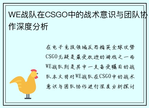 WE战队在CSGO中的战术意识与团队协作深度分析